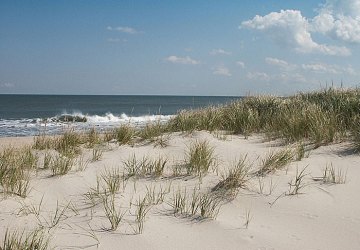 Beach Backdrops