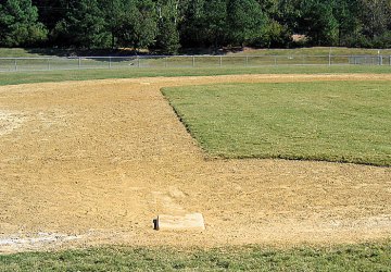 Baseball Backgrops